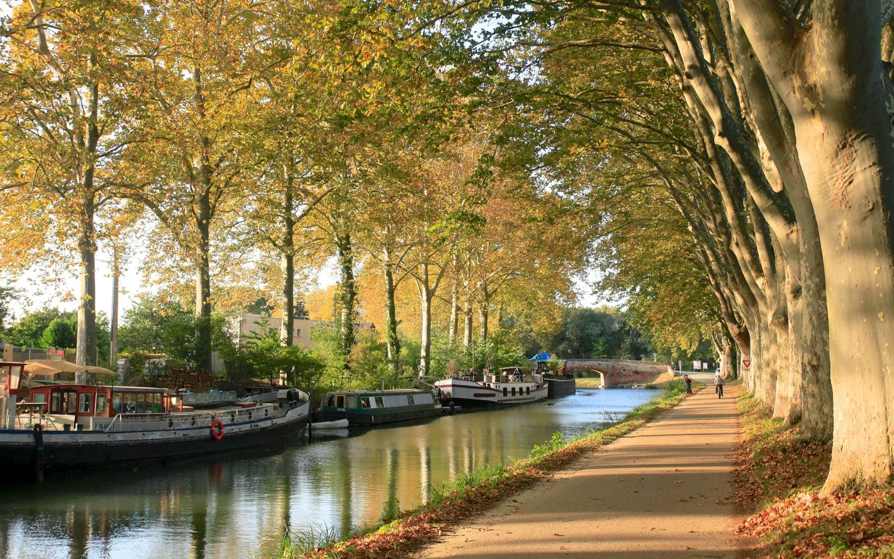 Canal du Midi