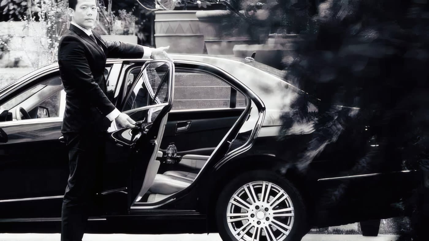 Chauffeurs de minibus professionnels